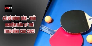 Cá độ bóng bàn