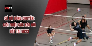 Cá độ bóng chuyền