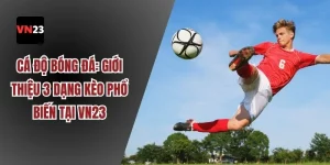 Cá độ bóng đá