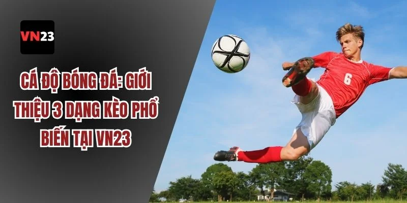 Cá độ bóng đá